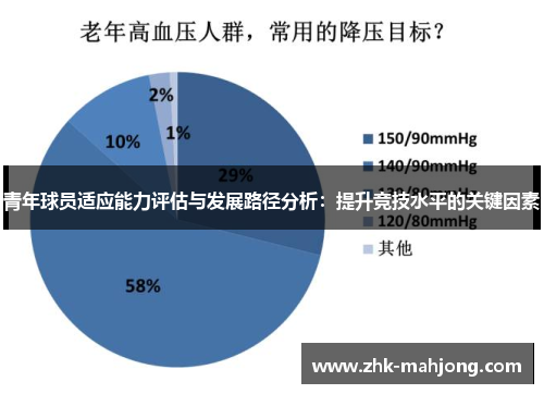 青年球员适应能力评估与发展路径分析：提升竞技水平的关键因素